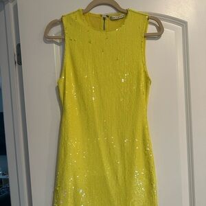 Alice and Olivia dress worn for one hour.  I sill have tags original price $550